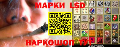 mdma Гатчина