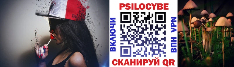 купить закладку  Новоуральск  Галлюциногенные грибы Cubensis 